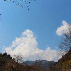 小菅トラウトガーデン 釣果