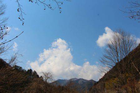 小菅トラウトガーデン 釣果