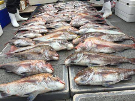 幸風（さちかぜ） 釣果