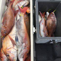 幸風（さちかぜ） 釣果