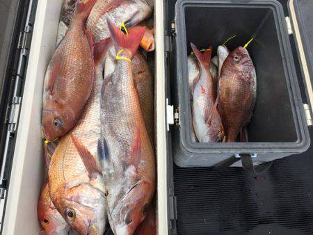 幸風（さちかぜ） 釣果