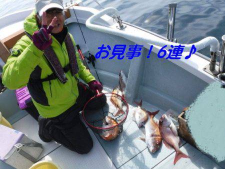 遊漁船 幸友丸 釣果