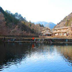 小菅トラウトガーデン 釣果