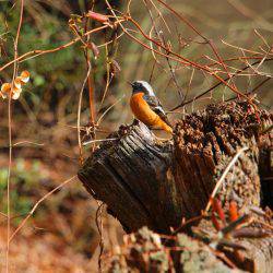 小菅トラウトガーデン 釣果