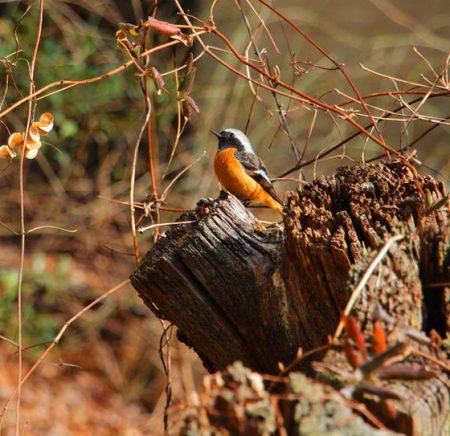 小菅トラウトガーデン 釣果