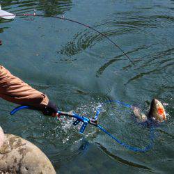 小菅トラウトガーデン 釣果