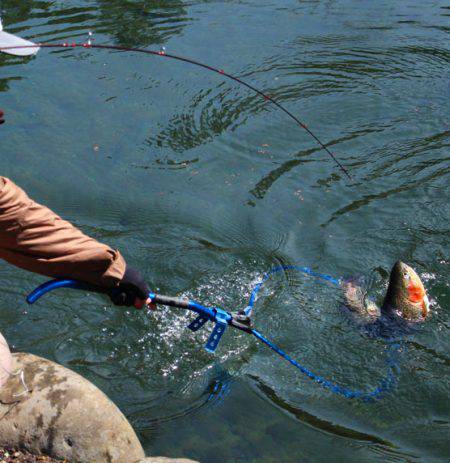 小菅トラウトガーデン 釣果