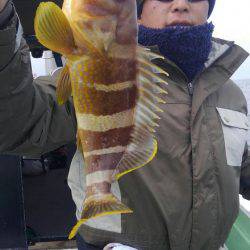 遊漁船 新鋭丸 釣果