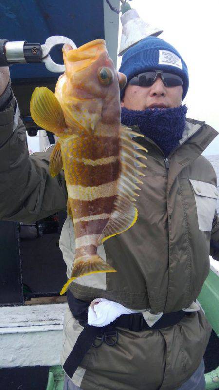 遊漁船 新鋭丸 釣果