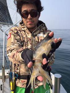 シーモンキー 釣果