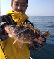 シーモンキー 釣果