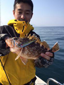 シーモンキー 釣果