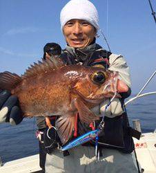 シーモンキー 釣果