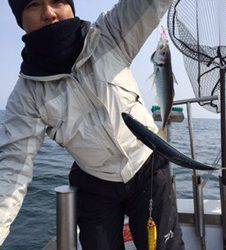 シーモンキー 釣果