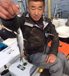 シーモンキー 釣果