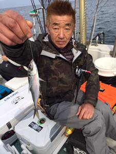 シーモンキー 釣果