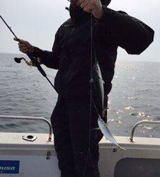 シーモンキー 釣果