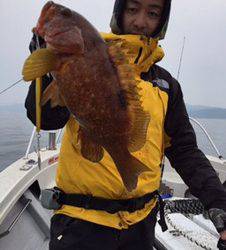 シーモンキー 釣果