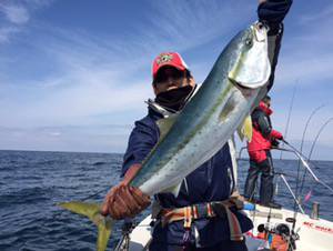 シーモンキー 釣果