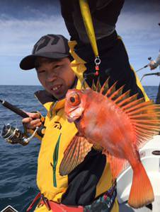シーモンキー 釣果