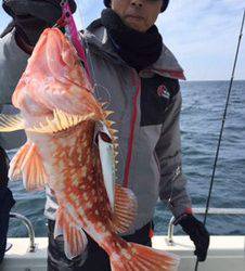 シーモンキー 釣果