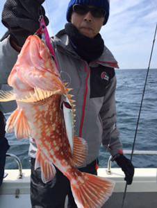 シーモンキー 釣果