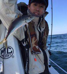 シーモンキー 釣果