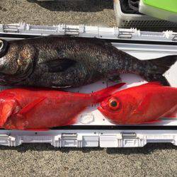 番匠高宮丸 釣果