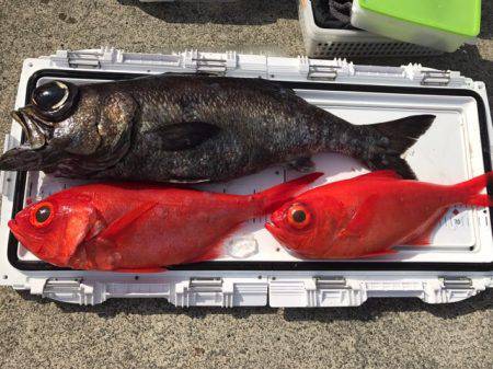 番匠高宮丸 釣果