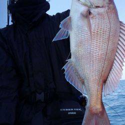 遊漁船 新鋭丸 釣果