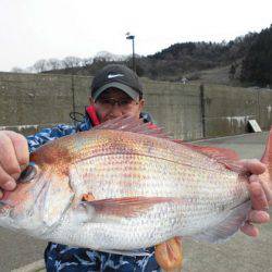 大進丸(新潟) 釣果