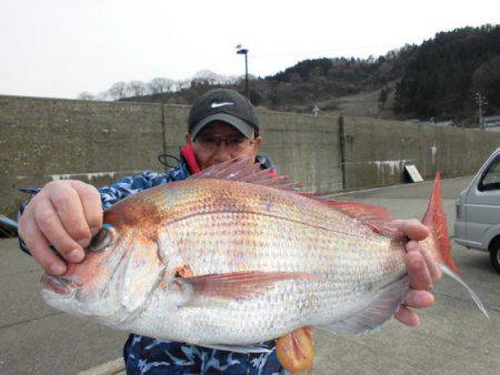 大進丸(新潟) 釣果