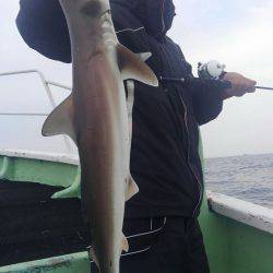 遊漁船 新鋭丸 釣果