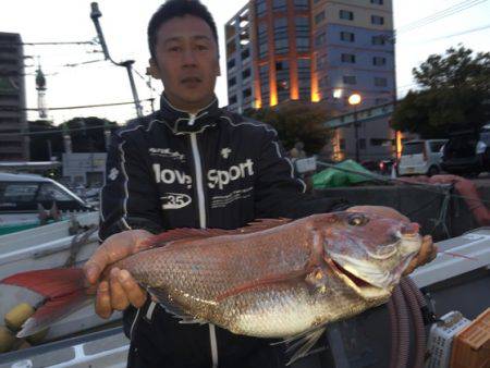 幸風（さちかぜ） 釣果