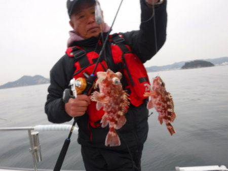 遊漁船 幸友丸 釣果