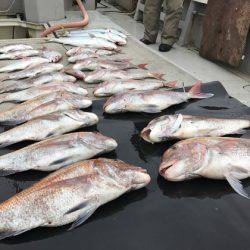 寿裕 （YOSHIHIRO） 釣果