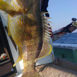 遊漁船 新鋭丸 釣果