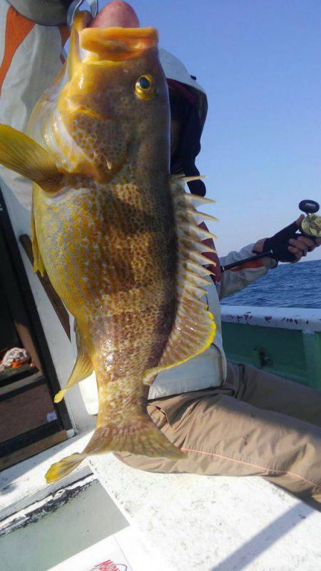 遊漁船 新鋭丸 釣果