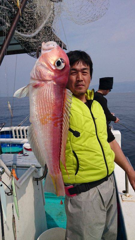 綾姫丸 釣果