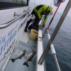 遊漁船 幸友丸 釣果