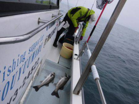 遊漁船 幸友丸 釣果