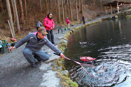 小菅トラウトガーデン 釣果