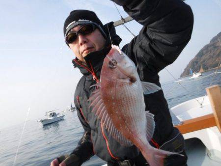 遊漁船 幸友丸 釣果