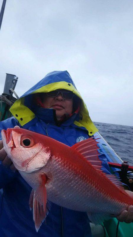 フィッシングハウス伊藤 釣果