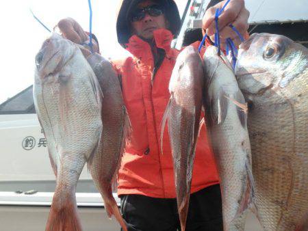 美里丸 釣果
