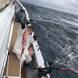 番匠高宮丸 釣果