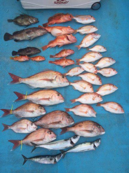 和丸 釣果