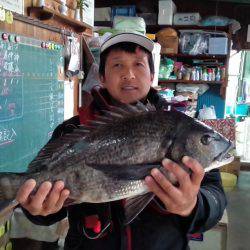 ふじや釣舟店 釣果