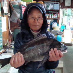 ふじや釣舟店 釣果