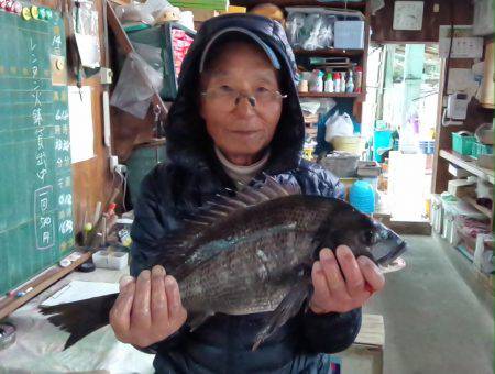 ふじや釣舟店 釣果